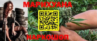 сатива Канаш