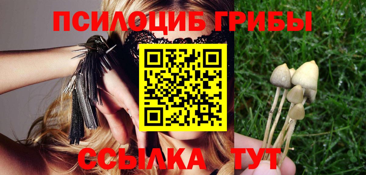 Галлюциногенные грибы Psilocybe Кыштым